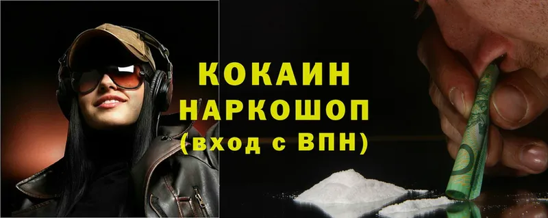 МЕГА маркетплейс  Камышин  Cocaine Fish Scale  как найти закладки 