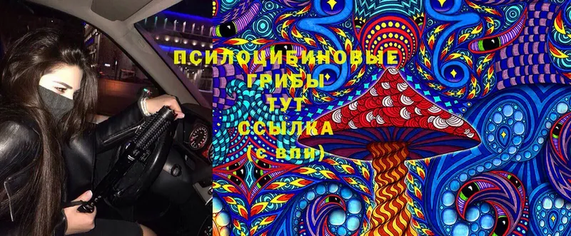 Псилоцибиновые грибы Cubensis  Камышин 